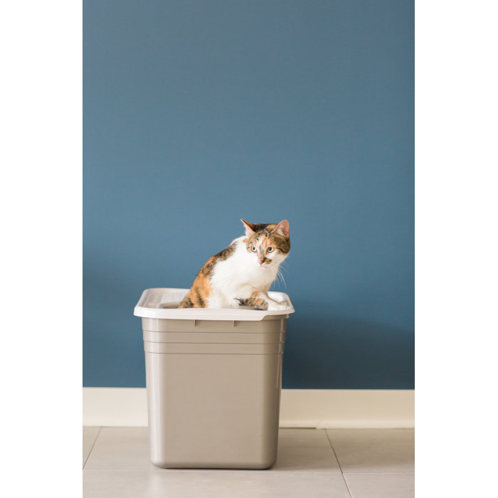 Petmate Top Entry Litter Pan & Reviews Wayfair